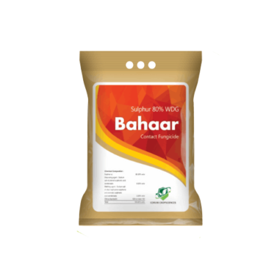 BAHAAR