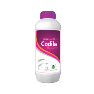 CODILA