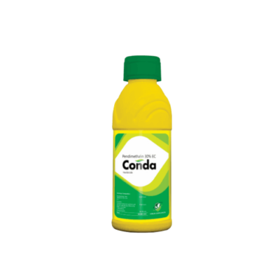 CONDA
