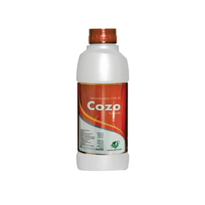 COZO
