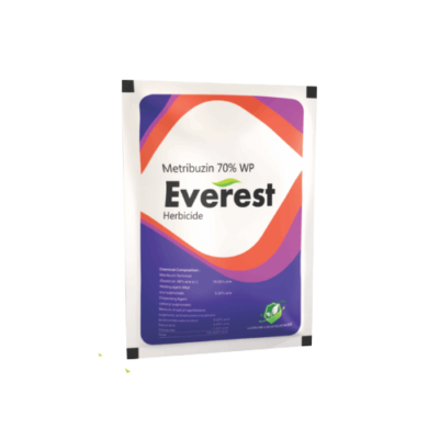 EVEREST