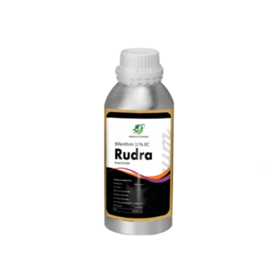 RUDRA