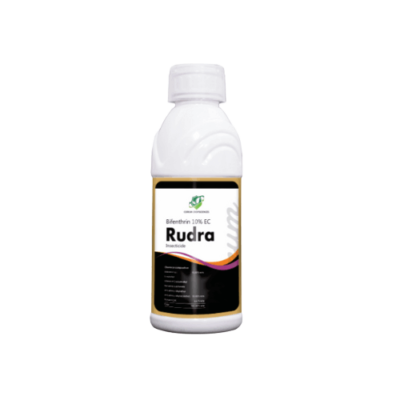 RUDRA