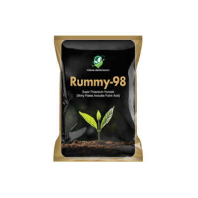 RUMMY 98