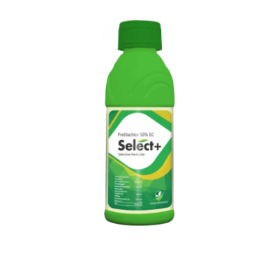 SELECT +