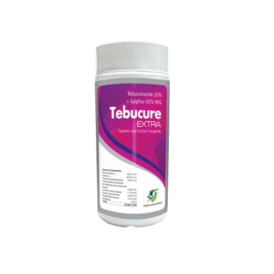 TEBUCURE EXTRA