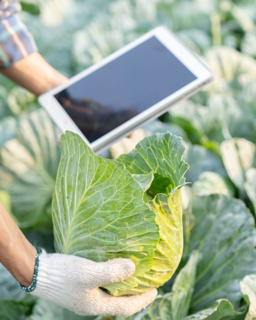 Research & Technology-Based Innovation  