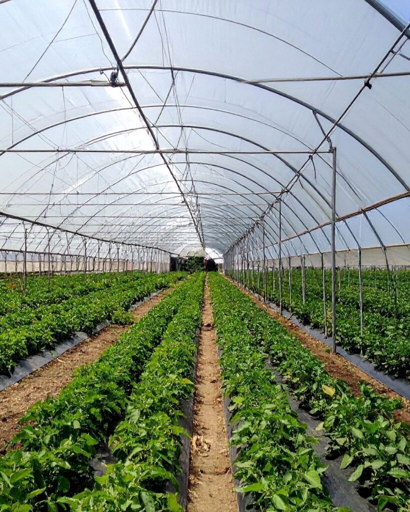Sustainable & Eco-Friendly Farming Support  